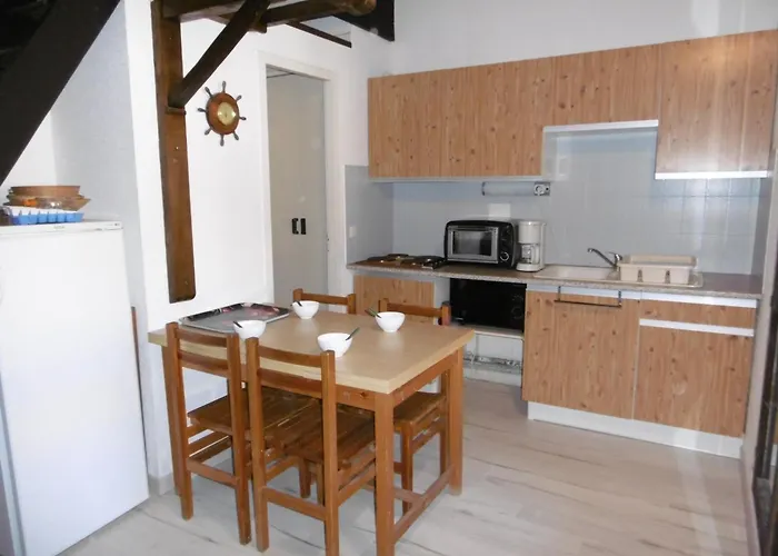 Apartment T2 Mezzanine Renove A Port - Plage/port A Pied, Parking Prive, Animaux Bienvenus - Fr-1-798-26 *