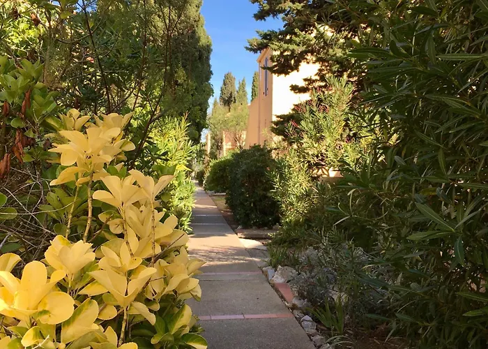 T2 Mezzanine Renove A Port - Plage/port A Pied, Parking Prive, Animaux Bienvenus - Fr-1-798-26 Apartment