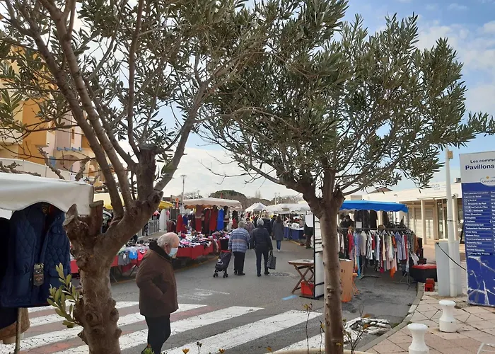 T2 Mezzanine Renove A Port - Plage/port A Pied, Parking Prive, Animaux Bienvenus - Fr-1-798-26